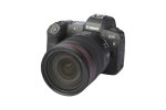 Canon EOS R + RF 24-105mm 1:4 L IS USM